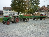 spgm-1.4.4/gal/Apapsa_2009/_thb_14.jpg
