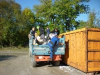 spgm-1.4.4/gal/Apapsa_2013/_thb_P1080817.jpg
