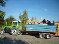 spgm-1.4.4/gal/Apapsa_2013/_thb_P1080818.jpg