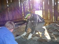spgm-1.4.4/gal/Darre_renovieren/_thb_P1050813.jpg