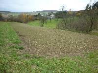 spgm-1.4.4/gal/Gruenkern_2011/_thb_P1030062.jpg
