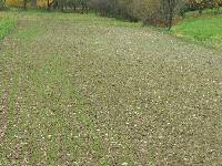 spgm-1.4.4/gal/Gruenkern_2011/_thb_P1030064.jpg