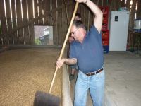 spgm-1.4.4/gal/Gruenkern_2013/_thb_P1080197.jpg