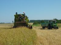 spgm-1.4.4/gal/Gruenkern_2013/_thb_P1080204.jpg