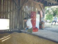 spgm-1.4.4/gal/Gruenkern_2013/_thb_P1080225.jpg