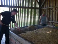 spgm-1.4.4/gal/Gruenkern_2013/_thb_P1080228.jpg
