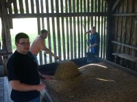 spgm-1.4.4/gal/Gruenkern_2013/_thb_P1080239.jpg