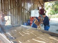 spgm-1.4.4/gal/Gruenkern_2013/_thb_P1080261.jpg