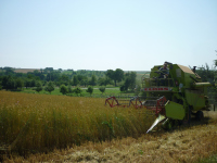 spgm-1.4.4/gal/Gruenkern_2015/_thb_P1020572.jpg