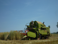 spgm-1.4.4/gal/Gruenkern_2015/_thb_P1020577.jpg