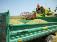 spgm-1.4.4/gal/Gruenkern_2015/_thb_P1100989.jpg