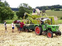 spgm-1.4.4/gal/Gruenkern_Ernte_2006/_thb_gruenkernmachen_06_04.jpg