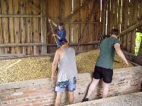 spgm-1.4.4/gal/Gruenkern_Ernte_2006/_thb_gruenkernmachen_06_10.jpg
