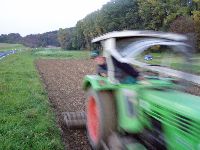 spgm-1.4.4/gal/Gruenkern_Ernte_2008/_thb_170_P1010188.jpg