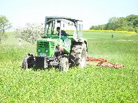 spgm-1.4.4/gal/Gruenkern_Ernte_2008/_thb_360_100_0504.jpg