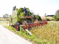 spgm-1.4.4/gal/Gruenkern_Ernte_2008/_thb_480_P1010018.jpg
