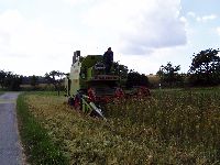 spgm-1.4.4/gal/Gruenkern_Ernte_2008/_thb_490_P1010035.jpg