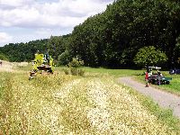 spgm-1.4.4/gal/Gruenkern_Ernte_2008/_thb_510_P1010041.jpg