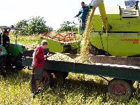 spgm-1.4.4/gal/Gruenkern_Ernte_2008/_thb_540_P1010066.jpg