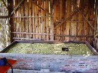 spgm-1.4.4/gal/Gruenkern_Ernte_2008/_thb_600_P1010088.jpg
