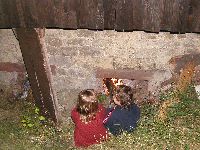 spgm-1.4.4/gal/Gruenkern_Ernte_2008/_thb_650_P7047964.jpg