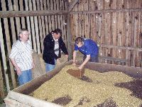 spgm-1.4.4/gal/Gruenkern_Ernte_2008/_thb_700_P1010266.jpg