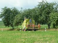 spgm-1.4.4/gal/Gruenkernsaison_2012/_thb_P1070145.jpg