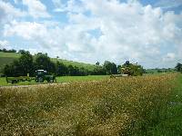 spgm-1.4.4/gal/Gruenkernsaison_2012/_thb_P1070158.jpg