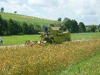 spgm-1.4.4/gal/Gruenkernsaison_2012/_thb_P1070159.jpg