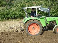 spgm-1.4.4/gal/Gruenkernsaison_2012/_thb_P1070389.jpg