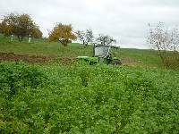 spgm-1.4.4/gal/Gruenkernsaison_2012/_thb_P1070592.jpg