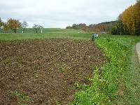 spgm-1.4.4/gal/Gruenkernsaison_2012/_thb_P1070596.jpg