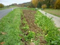 spgm-1.4.4/gal/Gruenkernsaison_2012/_thb_P1070597.jpg