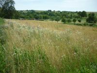 spgm-1.4.4/gal/Gruenkernsaison_2016/_thb_Bild130.jpg