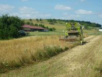 spgm-1.4.4/gal/Gruenkernsaison_2016/_thb_Bild134.jpg