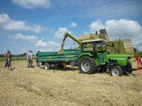 spgm-1.4.4/gal/Gruenkernsaison_2016/_thb_Bild137.jpg