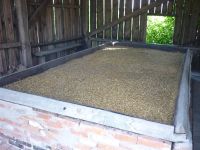 spgm-1.4.4/gal/Gruenkernsaison_2016/_thb_Bild141.jpg