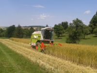 spgm-1.4.4/gal/Gruenkernsaison_2017/_thb_G14.jpg