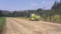 spgm-1.4.4/gal/Gruenkernsaison_2017/_thb_G15.jpg