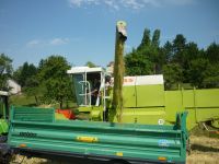 spgm-1.4.4/gal/Gruenkernsaison_2017/_thb_G18.jpg