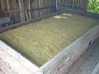 spgm-1.4.4/gal/Gruenkernsaison_2017/_thb_G32.jpg
