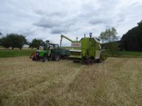 spgm-1.4.4/gal/Gruenkernsaison_2018/_thb_P1010380.jpg