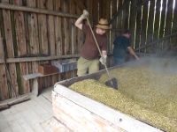 spgm-1.4.4/gal/Gruenkernsaison_2018/_thb_P1010418.jpg