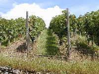 spgm-1.4.4/gal/Kochertaler_Geniessertour_2006/_thb_geniessertour_06_03.jpg
