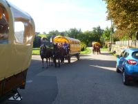 spgm-1.4.4/gal/Sommerfest_2017/_thb_S08.jpg